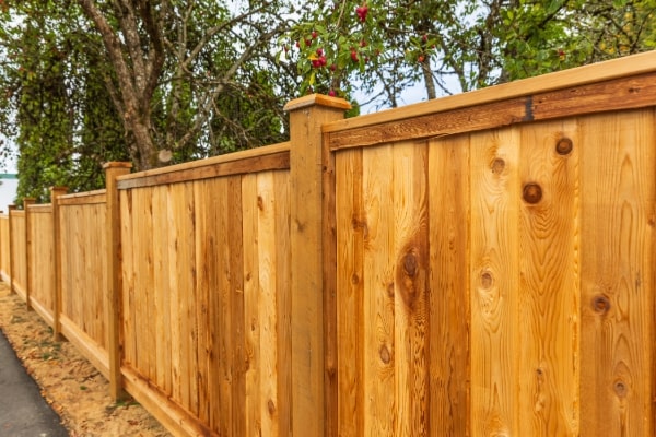 Fence Installation Service